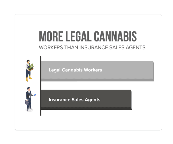 Chart showing more legal cannabis workers than insurance sales agents
